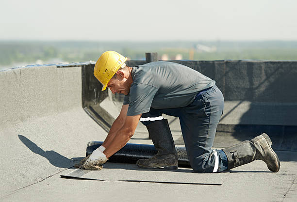 Best Cellulose Insulation in Standish, MI